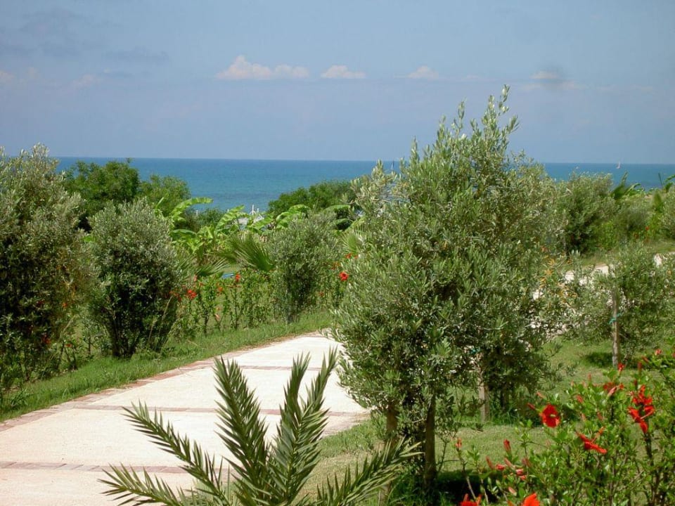 Gartenanlage Alba Resort Hotel