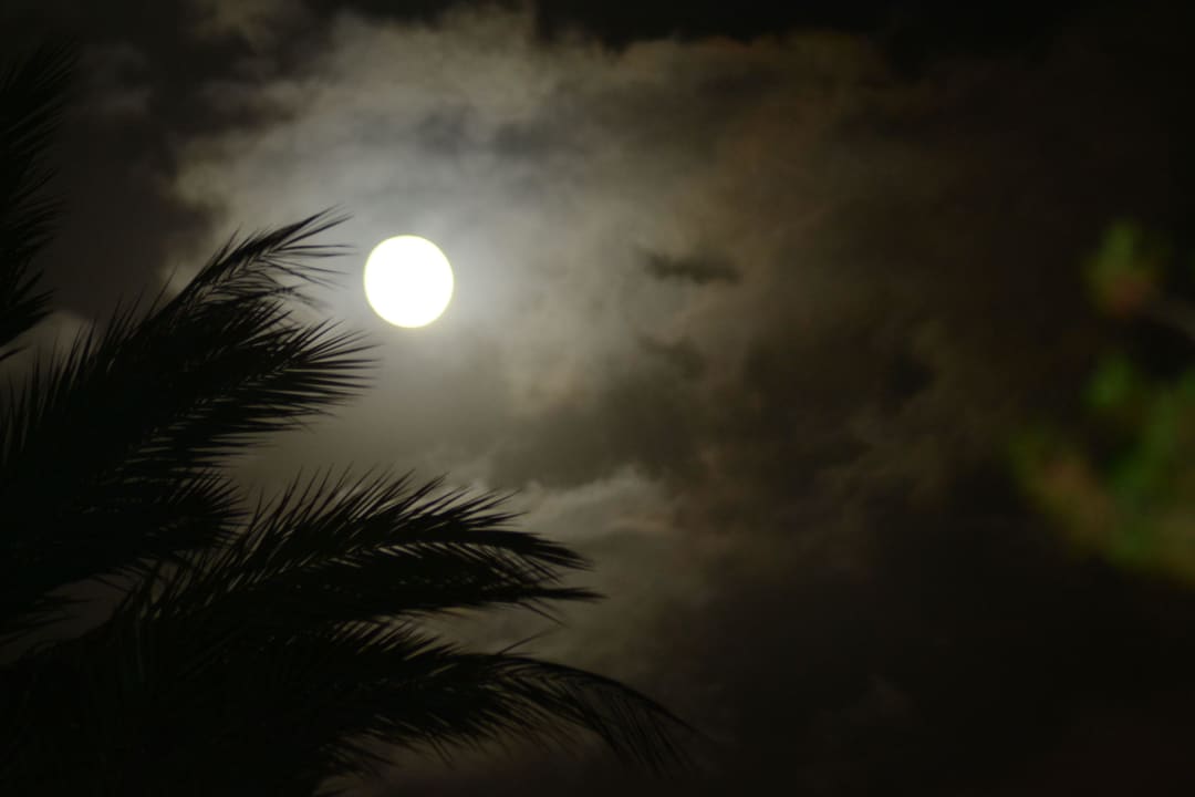 Auch in der Nacht gibt es Motive... Finca Sa Casa Rotja