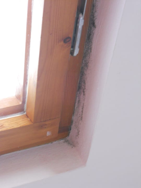 Am Fenster direkt neber dem Bett Berghotel Dachstein