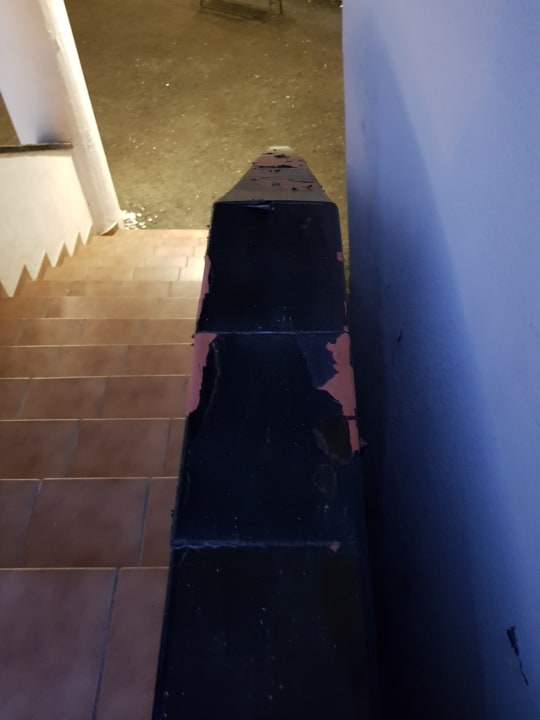 Gartenanlage Melia La Palma Hotel