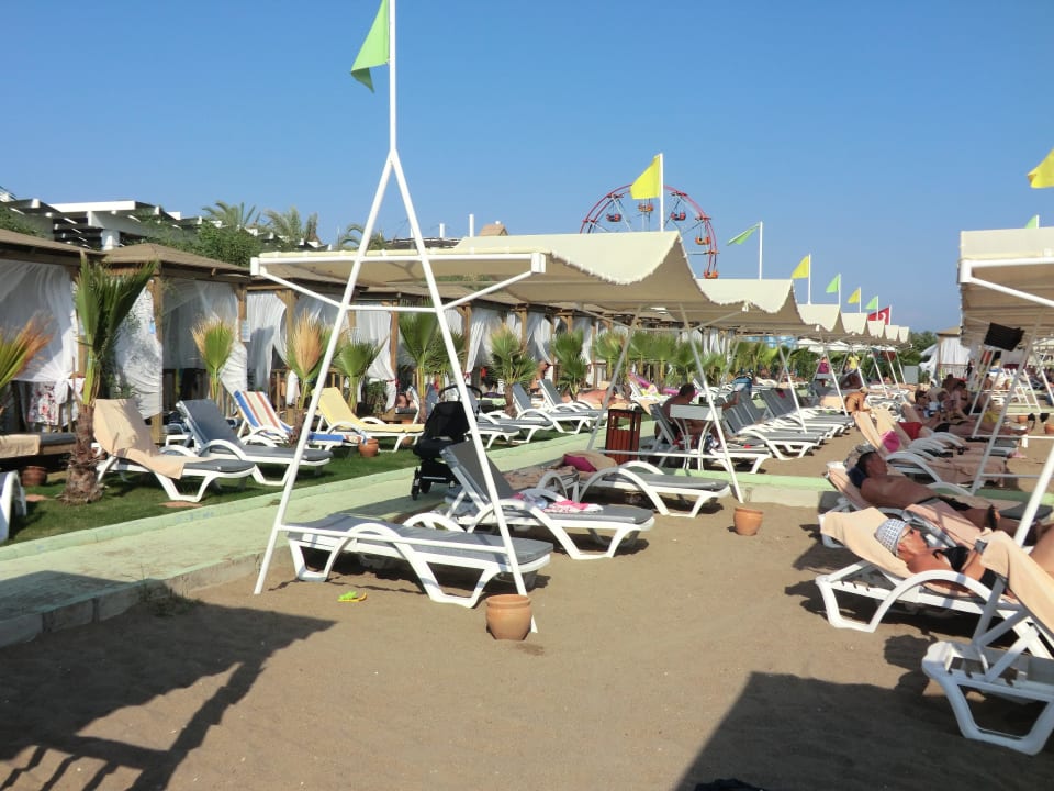 Dichtgedrängte Liegen Hotel Delphin Imperial