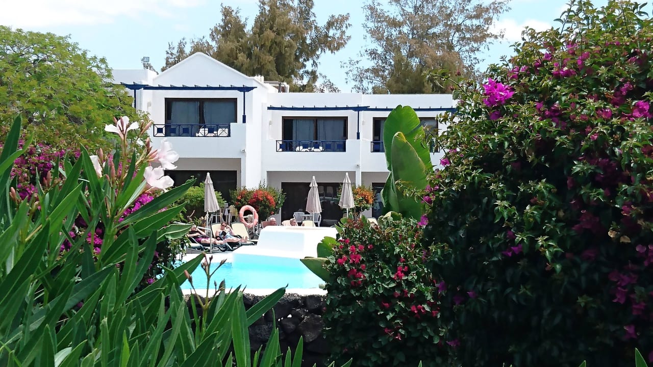 Anlage Relaxia Olivina