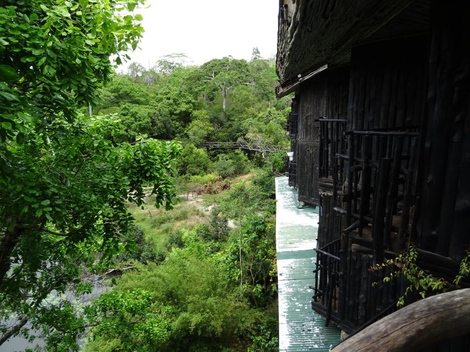 Ausblick Shimba Hills Lodge