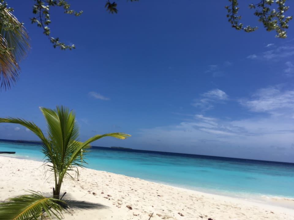 Strand Adaaran Select Meedhupparu Island Resort - Premium All Inclusive