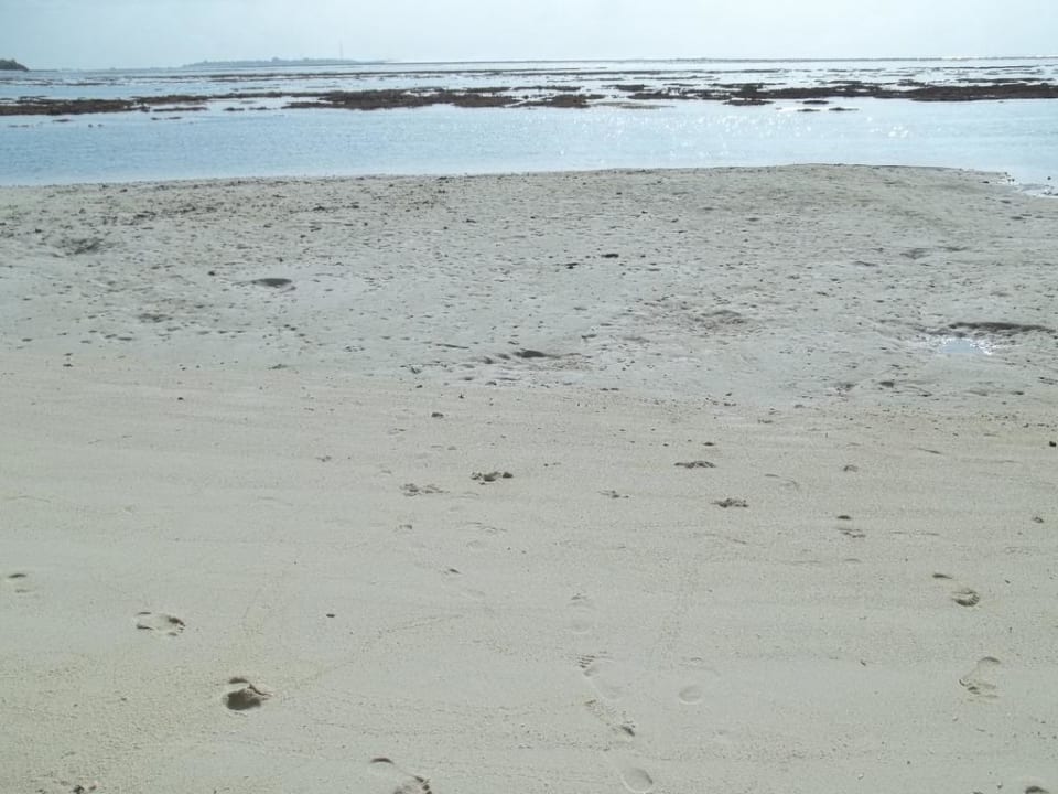 Meer bei Ebbe Adaaran Select Hudhuran Fushi - Premium All Inclusive