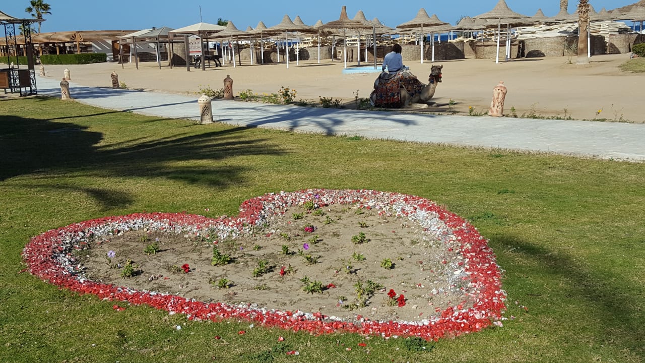 Strand Ali Baba Palace Resort