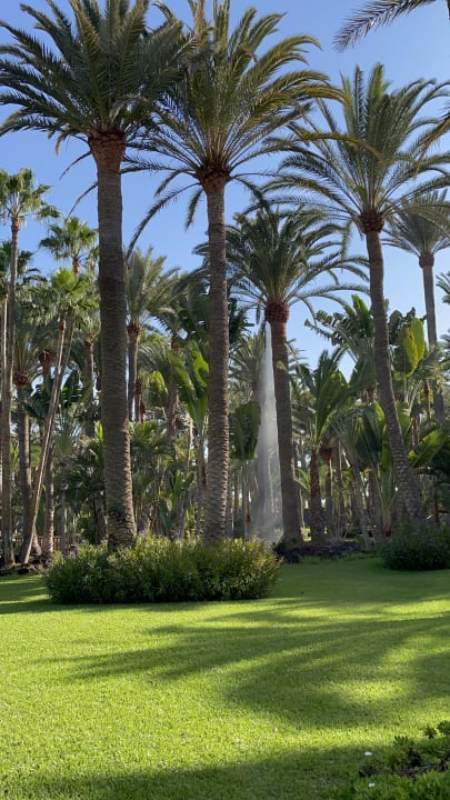 Gartenanlage Hotel Riu Palace Oasis