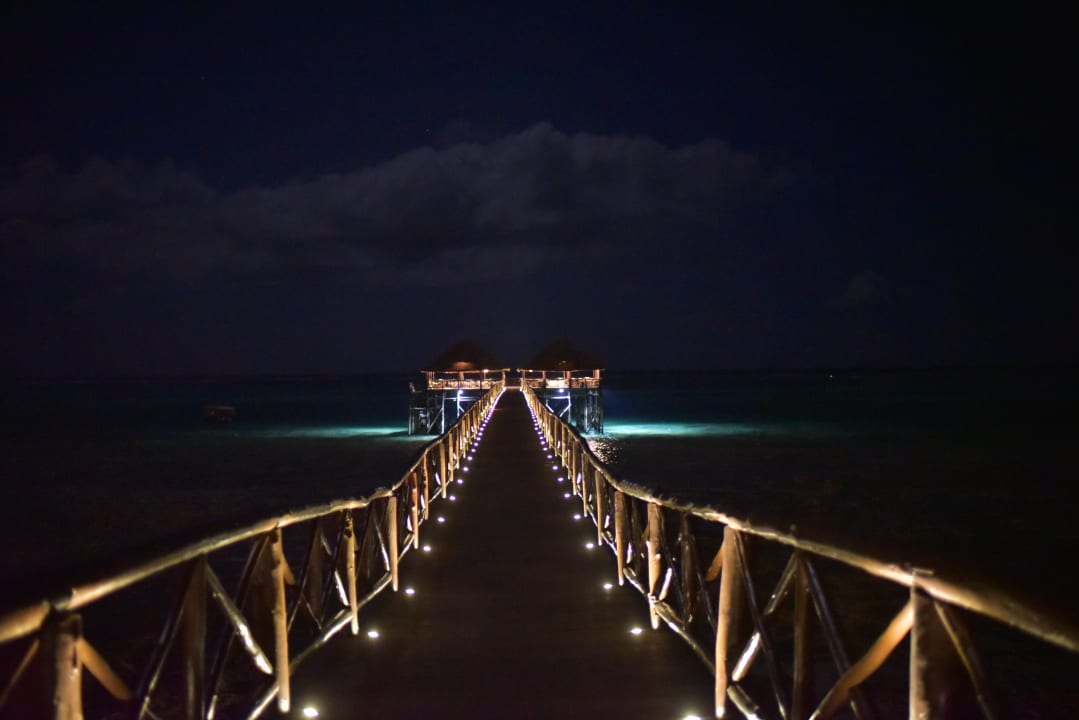 Sonstiges Le Mersenne Zanzibar, Autograph Collection