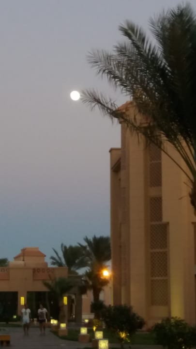 Ausblick Pickalbatros Aqua Park Resort - Hurghada