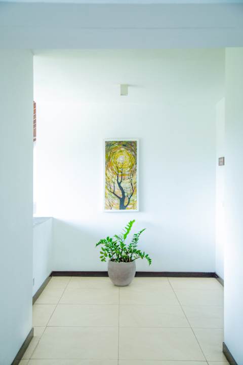 Sonstiges Pandanus Beach Resort & Spa