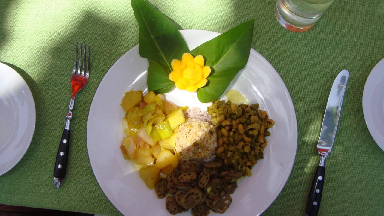 Ayurvedische Küche Hotel Sri Lanka Ayurveda Garden & Shakti Villa