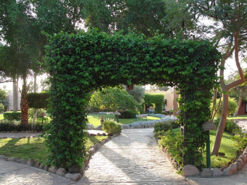 Ogród Hotel Nubian Village