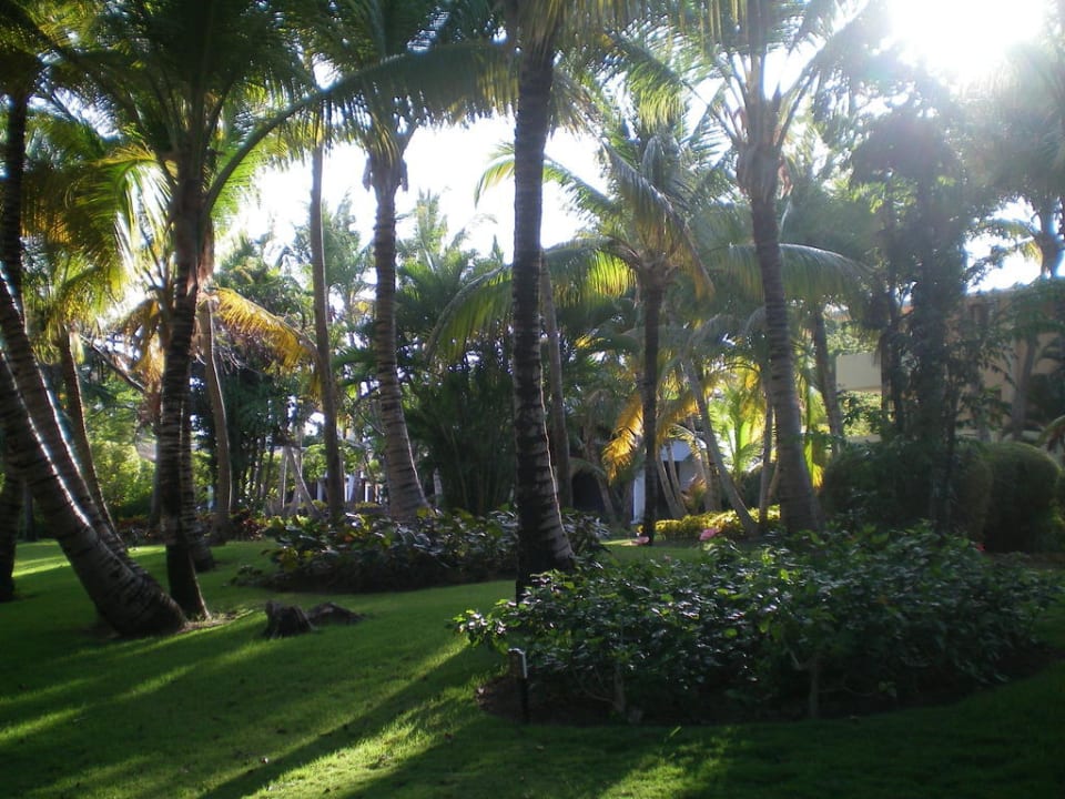 Gartenanlage  Catalonia Royal Bavaro - Adults only