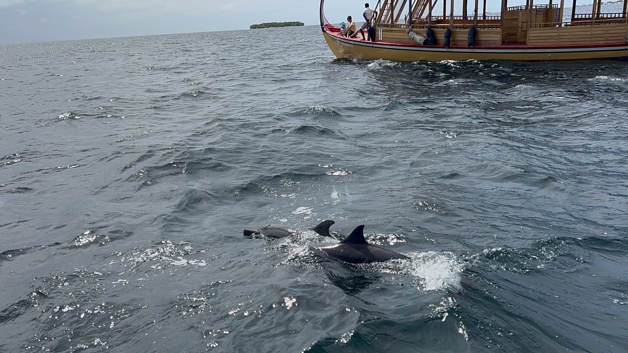 Sport & Freizeit Adaaran Select Meedhupparu Island Resort - Premium All Inclusive