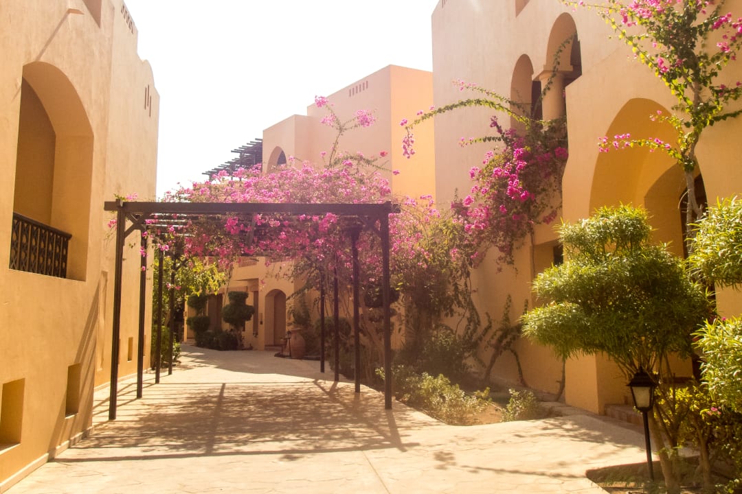 Außenansicht Steigenberger Coraya Beach - Adults only