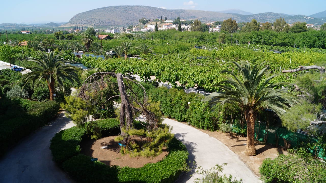 Blick vom Balkon ins Hinterland The Grove Seaside Hotel