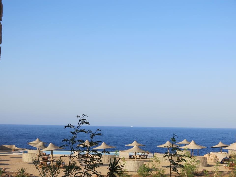 Poolanlage mit Meerblick und Sonnenliegen The Oasis Dive Resort