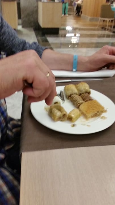 Gastro Seashell Vega