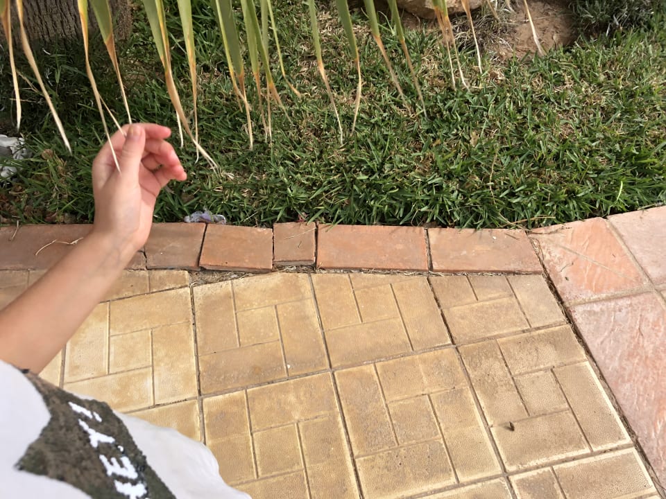 Sonstiges TUI MAGIC LIFE Penelope Beach