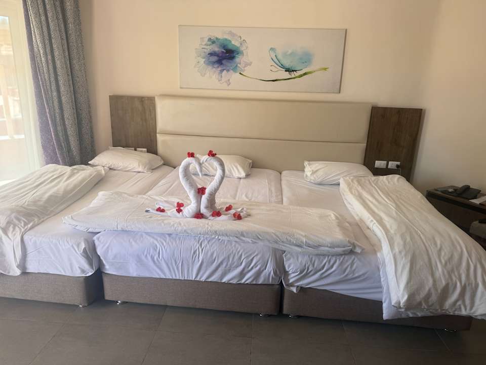 Zimmer Pickalbatros Laguna Club Resort