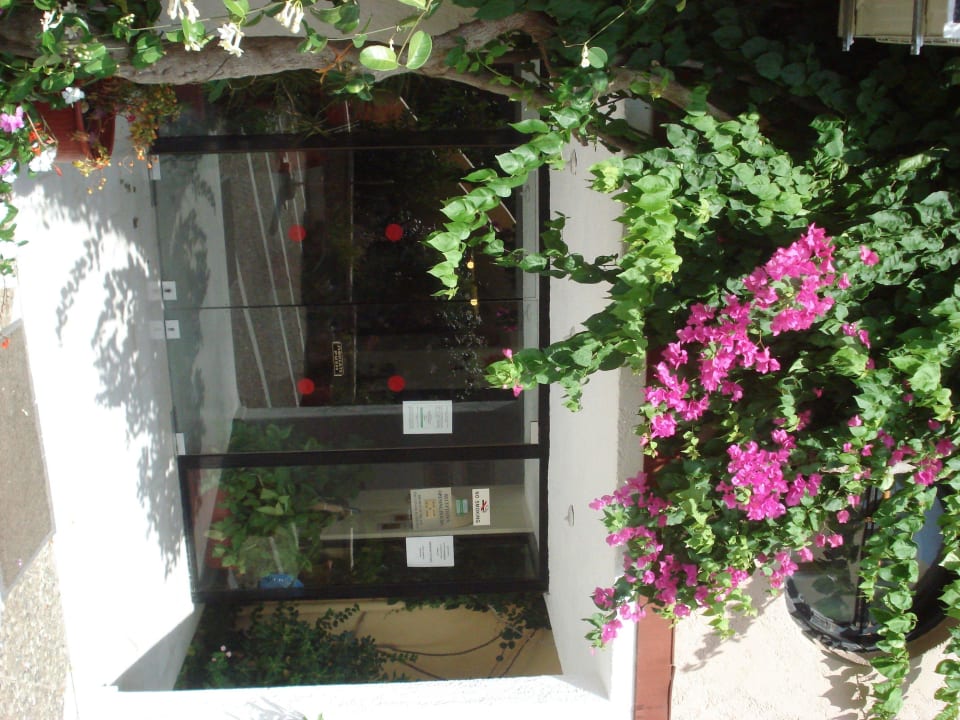 Der Eingang ist etwas versteckt Hotel Latania Apartments