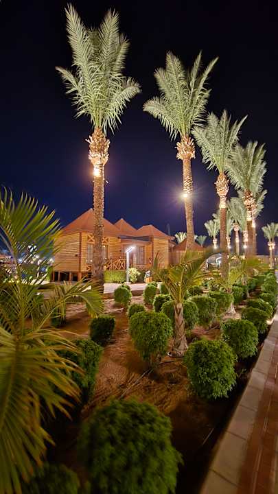 Gartenanlage Pickalbatros Aqua Blu Resort - Sharm El Sheikh