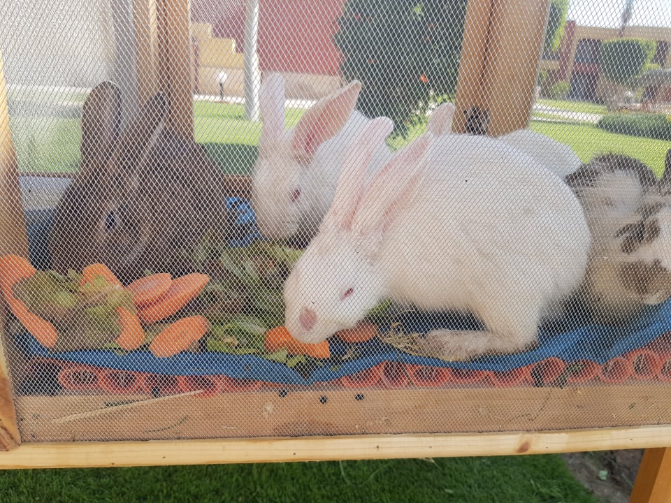 Sonstiges Casa Mare Resort