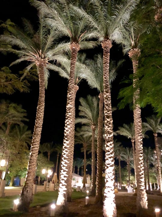 Gartenanlage Makadi Spa - Adults only