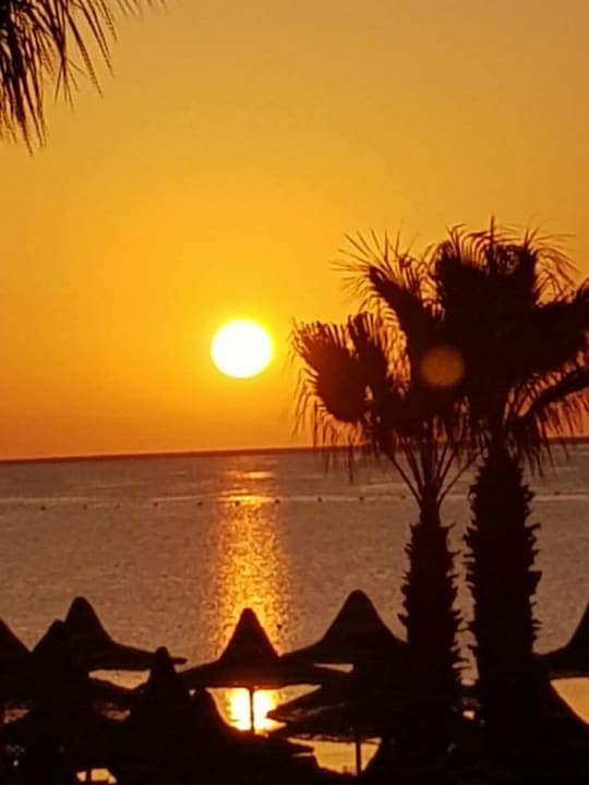 Sonnenaufgang Giftun Azur Resort