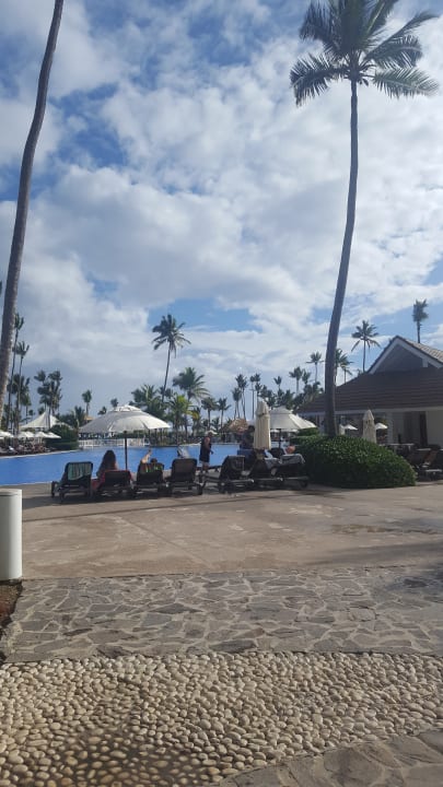 Pool Ocean Blue & Sand