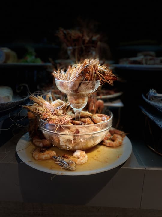 Gastro HVD Reina del Mar