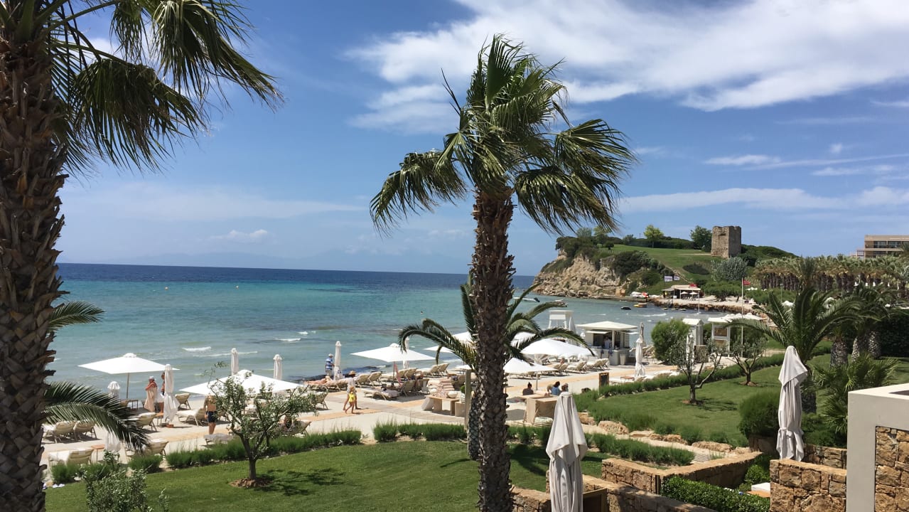 Zimmer Sani Asterias