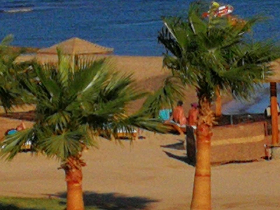 Strand Shams Prestige Abu Soma-Adults Only