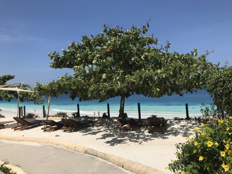 Gartenanlage Royal Zanzibar Beach Resort