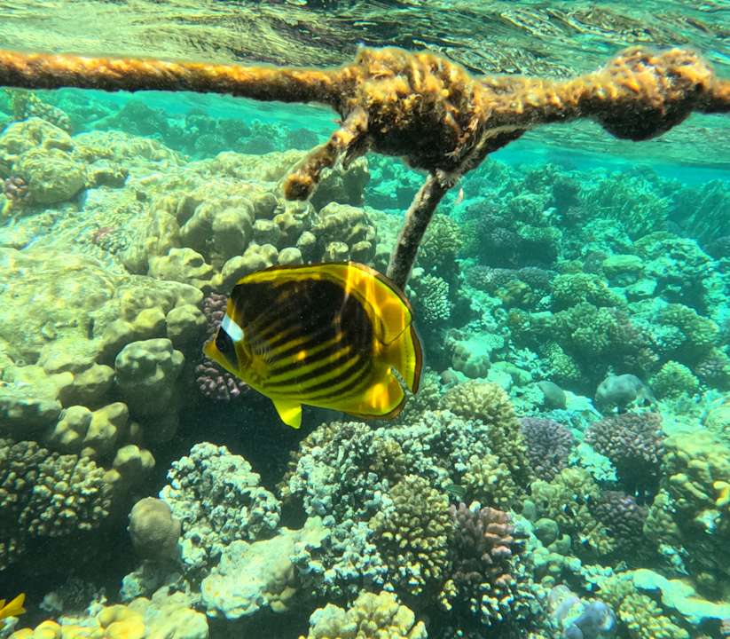 Strand Makadi Palace