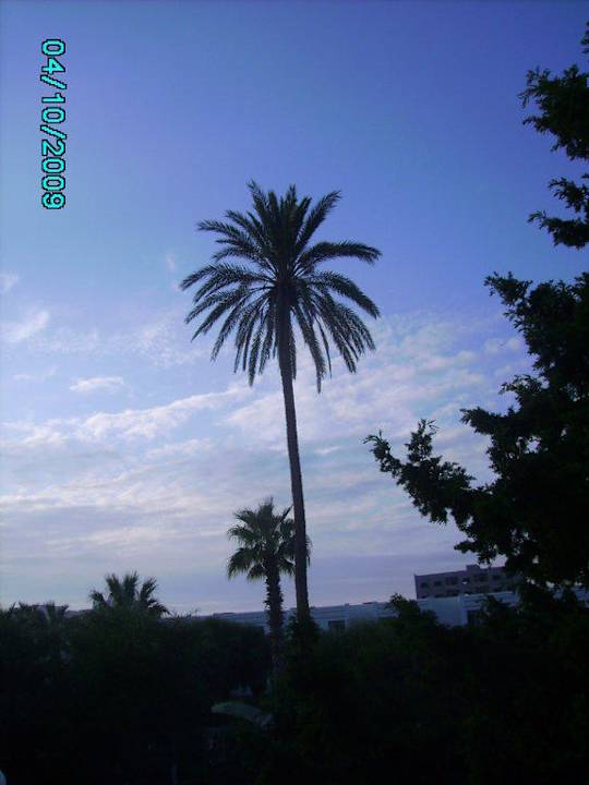 Unser Ausblick Hotel El Mouradi Cap Mahdia