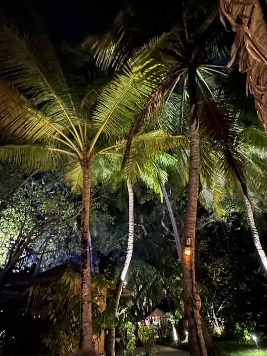 Gartenanlage Kuredu Island Resort & Spa