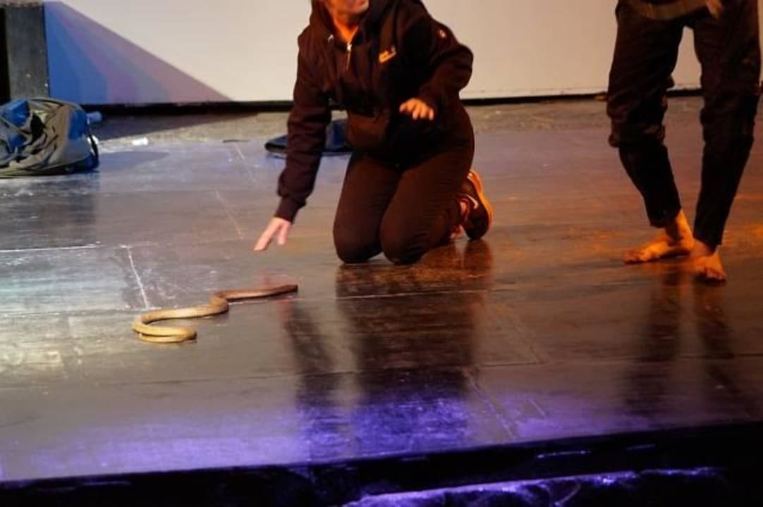 Kobra Show im Hotel Pickalbatros Alf Leila Wa Leila Resort - Neverland Hurghada