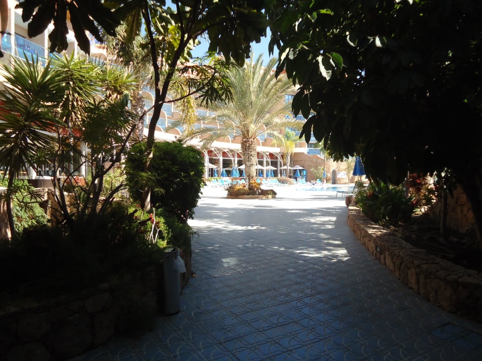 Juste après le hall MUR Hotel Faro Jandia & Spa Fuerteventura