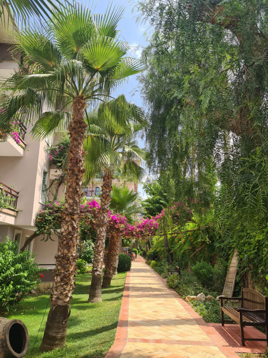 Gartenanlage Club Dizalya
