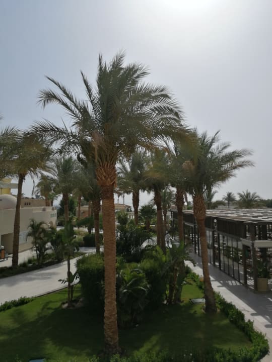 Ausblick JAZ Elite Casa del Mar Beach