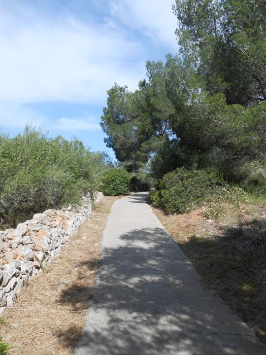 Weg vom Hotel bis zum Strand, Gehzeit ca. 5-10 Min Hotel Club Cala Romani