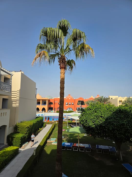 Gartenanlage Titanic Beach Spa & Aqua Park