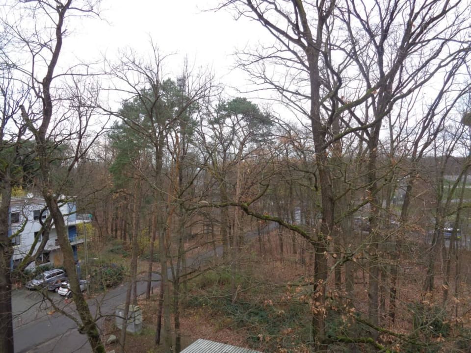 Noch ein Blick aus dem Fenster. Lindner Hotel Frankfurt Sportpark, part of JdV by Hyatt