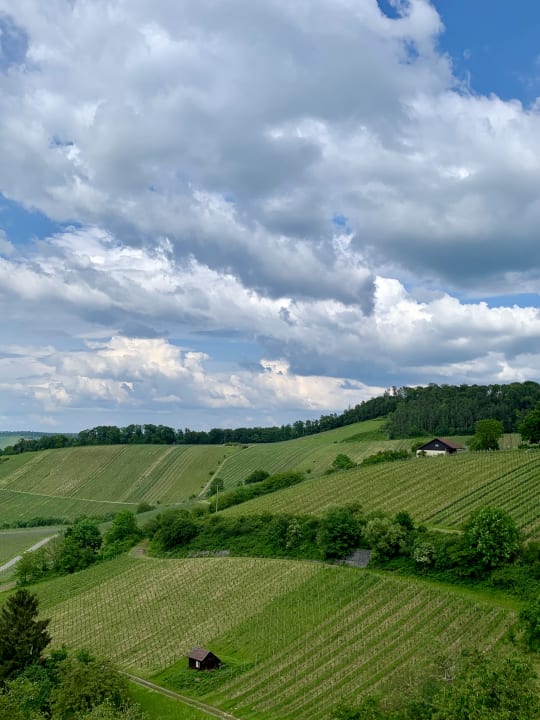 Ausblick Landhaus Hohly