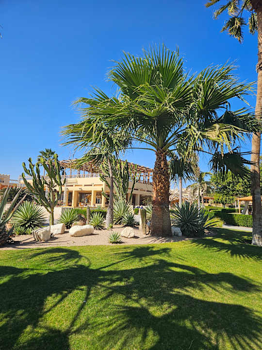 Außenansicht ROBINSON SOMA BAY