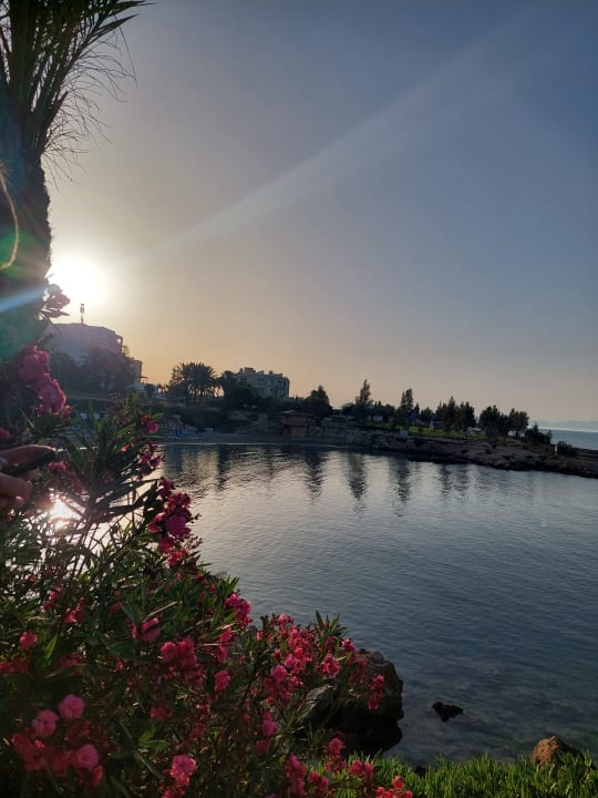 Außenansicht Crystal Springs Beach Hotel
