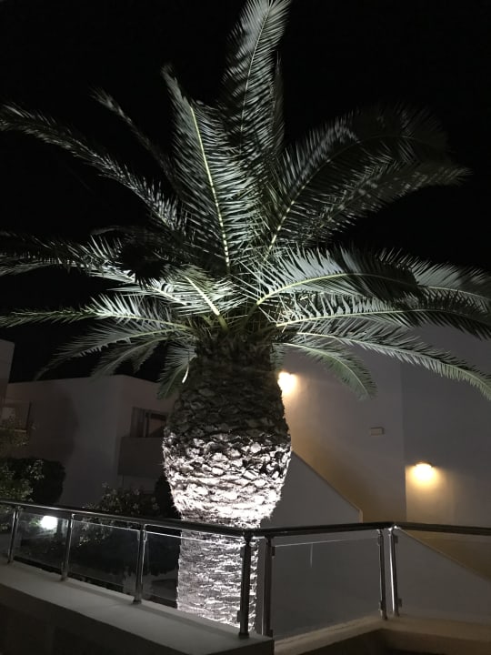 Gartenanlage Hotel Eva Bay