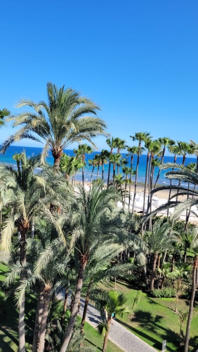 Ausblick Hotel Riu Palace Oasis
