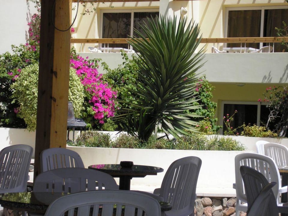 Blick von der Poolbar auf die Bungalows Palm Beach Resort